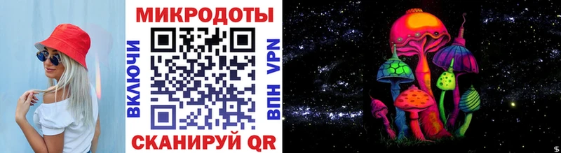 дарк нет Telegram  Дюртюли  Псилоцибиновые грибы Cubensis 